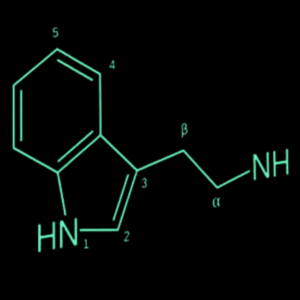Phénéthylamines